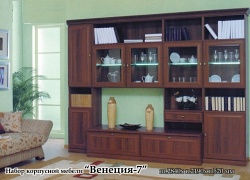 Стенка Венеция-7