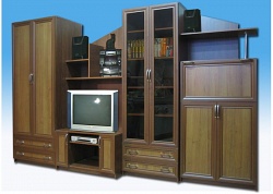 Стенка Юлия 1.1