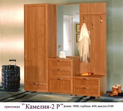 Прихожая Камелия-2