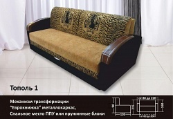 Еврокнижка Тополь 1