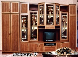 Стенка Эльвира 3