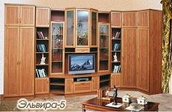 Стенка Эльвира 5