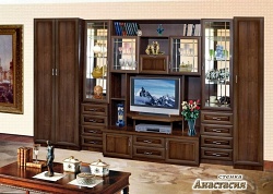 Стенка Анастасия