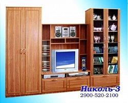 Стенка Николь-3