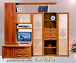 Стенка Ольга